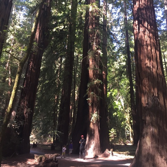 Meet your Posher, Yelena - Picture 3 of 3